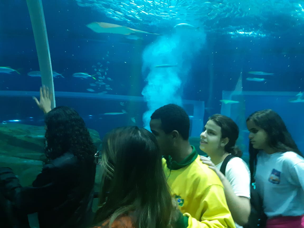 Quatro alunos cegos passam em frente ao túnel de vidro do AquaRio.