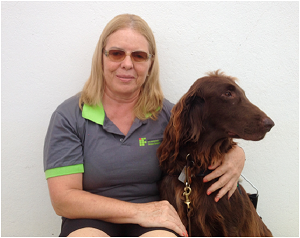 Darwin, um dos primeiros treinados pela Rede Federal, é o segundo cão-guia da professora gaúcha Olga Souza – Crédito: Divulgação IFC